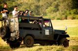 Yala National Park
